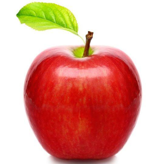 Lower School trip to Bowman Orchards