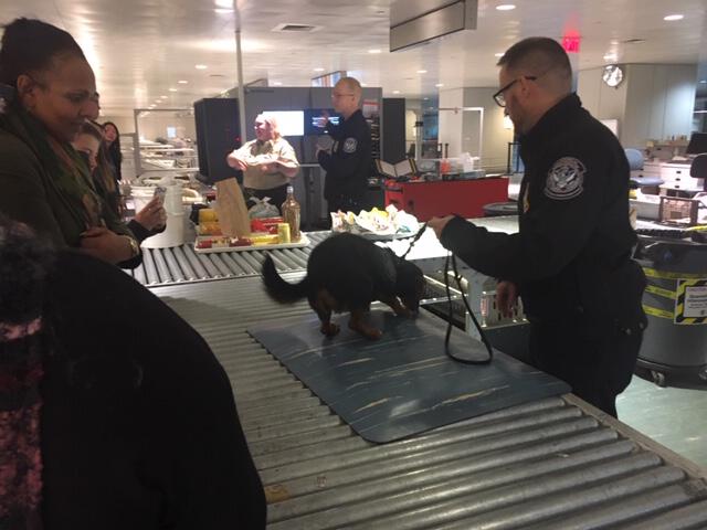 Director of Admission Dan Pearson participates in Customs and Border Patrol (CBP) program at Logan International Airport in Boston.