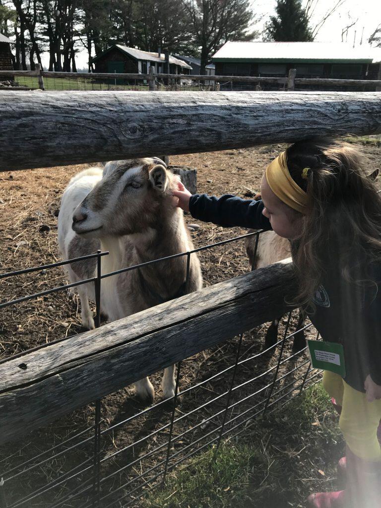 Early Childhood Visit to Indian Ladder Farms