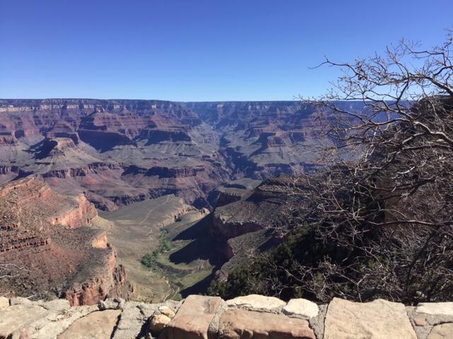 Middle School Co-Director Seamus Hodgkinson: A rim to rim run of The Grand Canyon