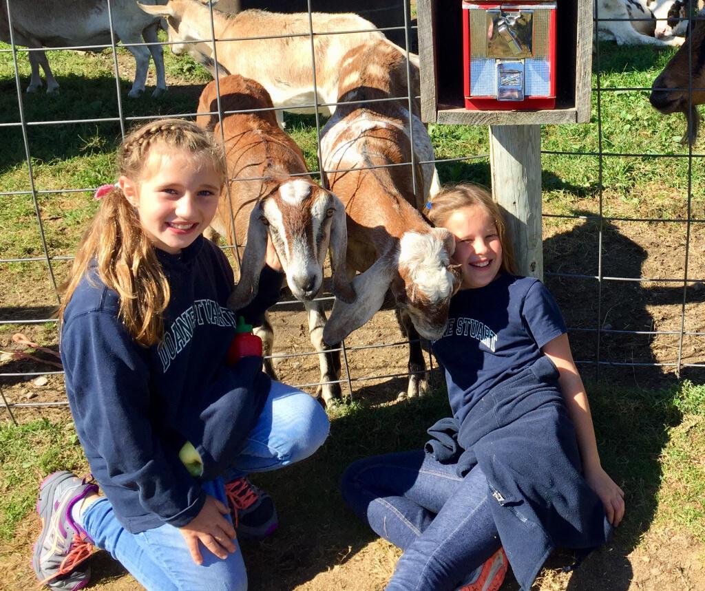 Lower School Students Visit Bowman’s Orchard